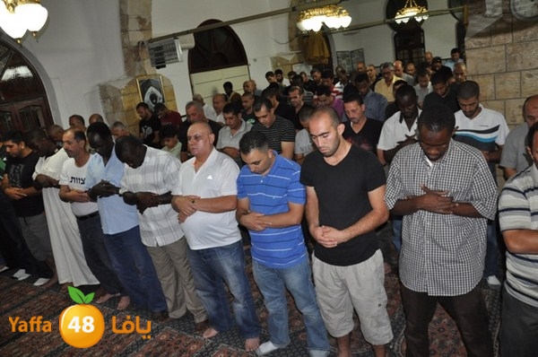 trawe7 7san bek 715 (12).JPG